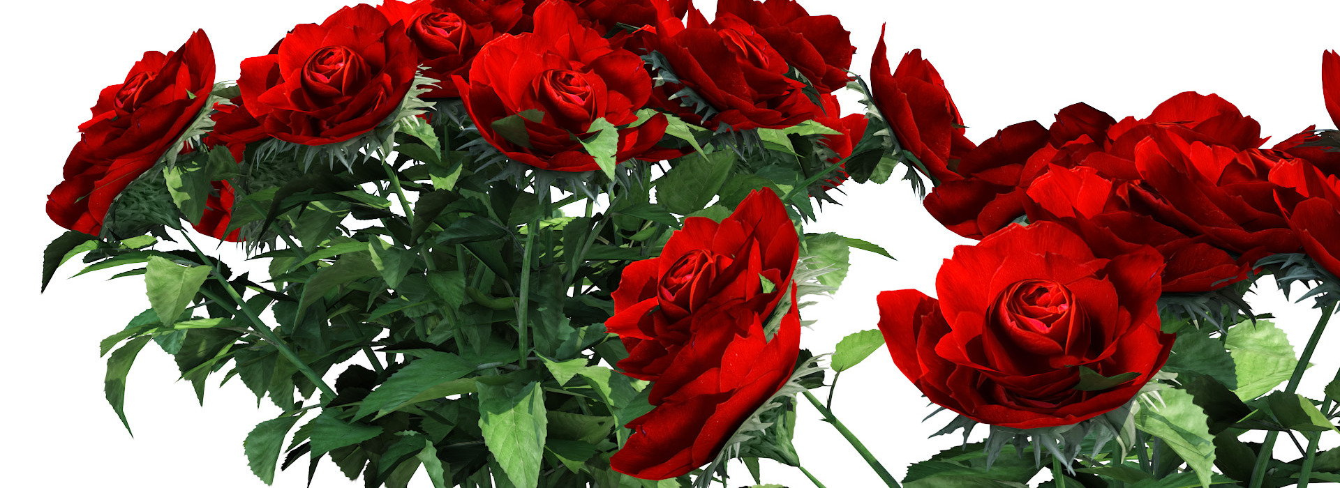 Product banner image