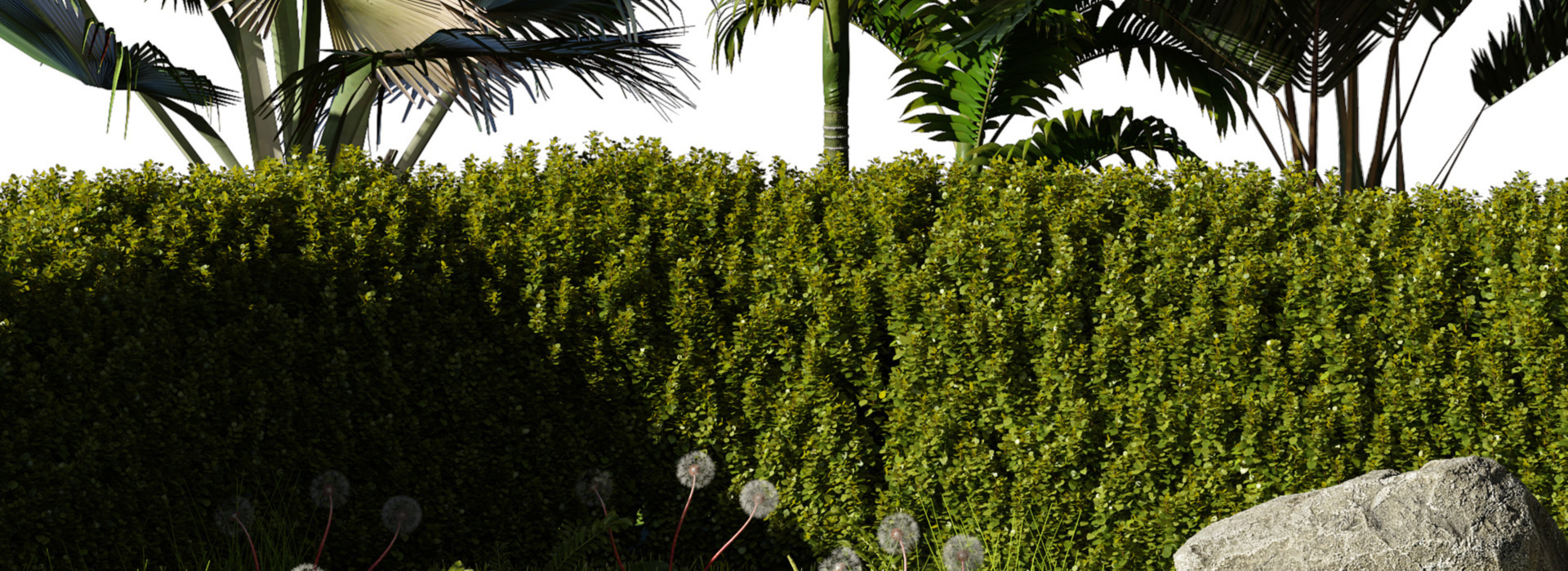 Product banner image