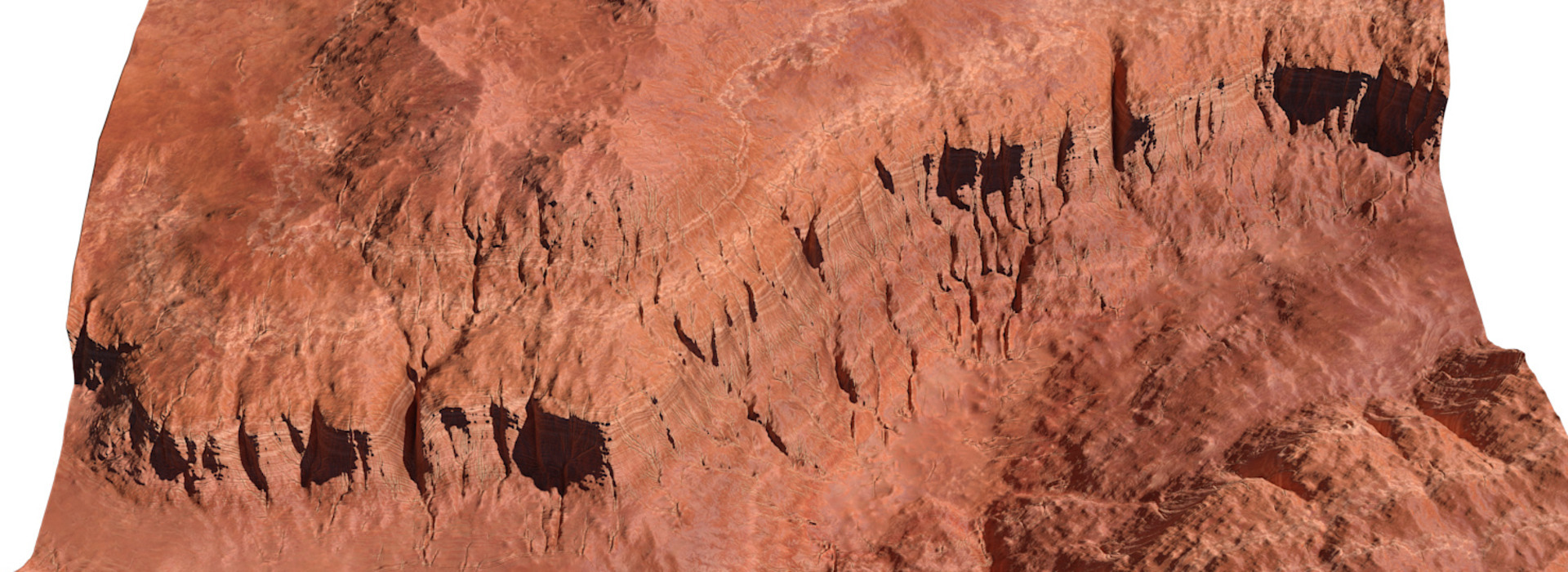 Product banner image