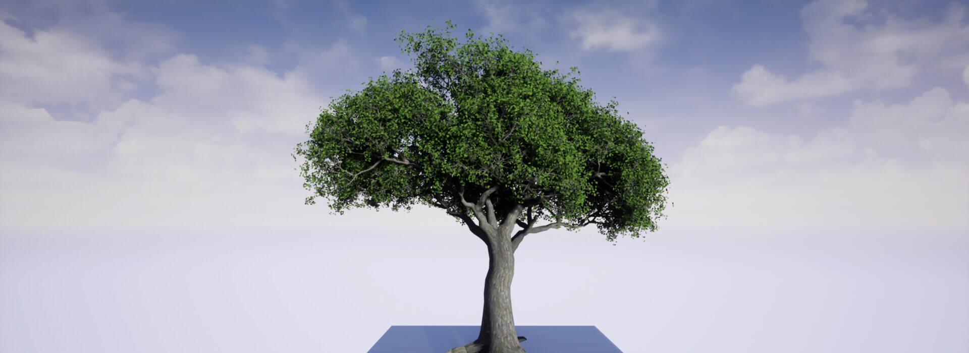Product banner image