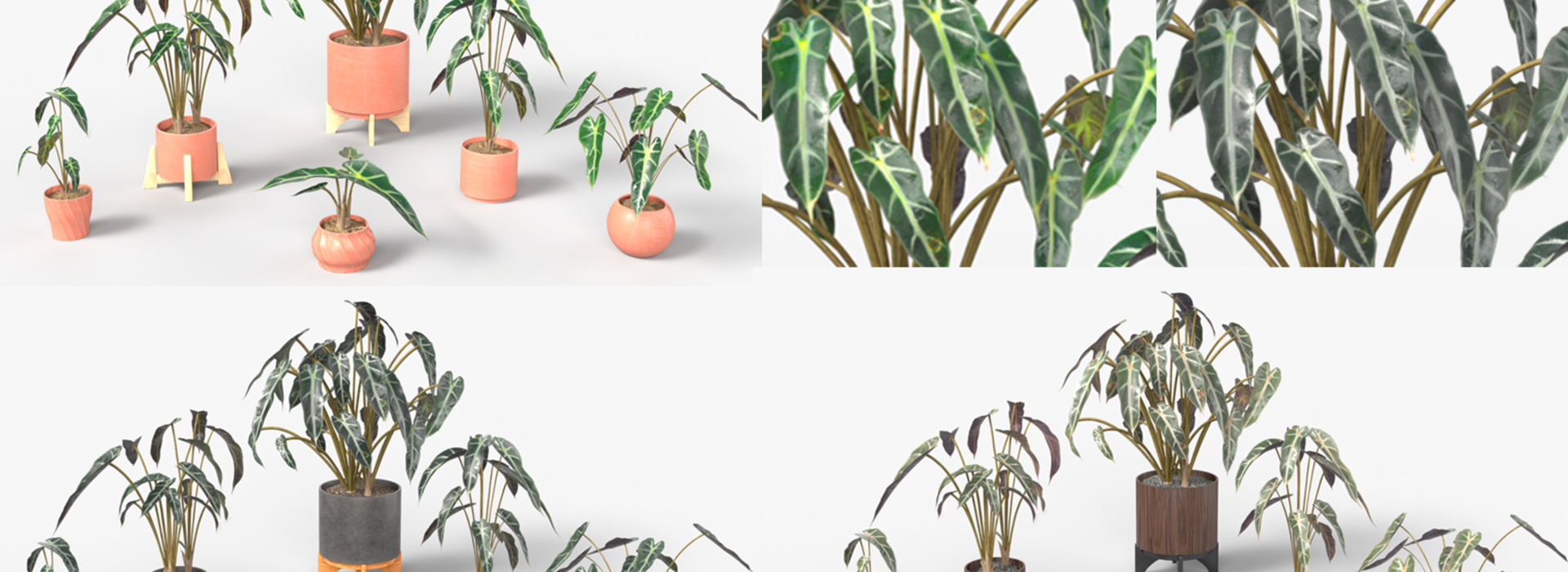 Product banner image
