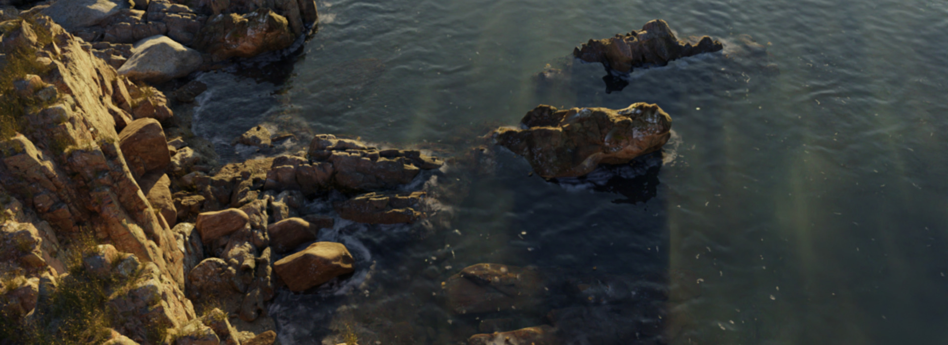 Product banner image