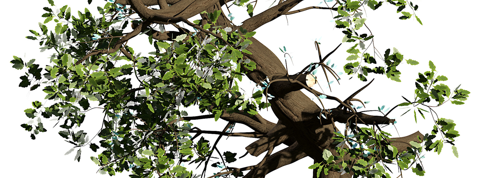 Product banner image