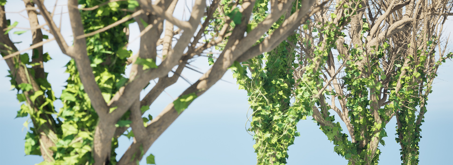 Product banner image