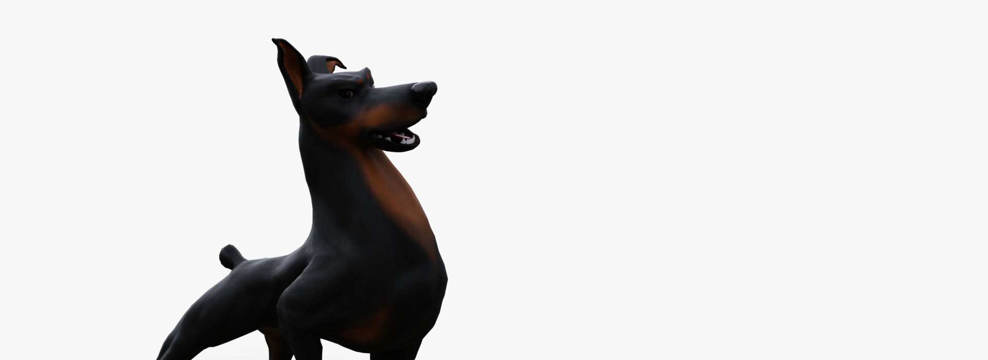 Product banner image