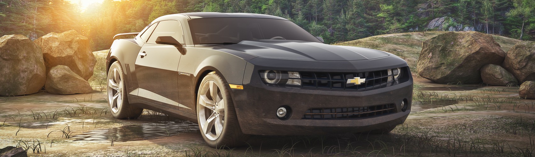 Product banner image