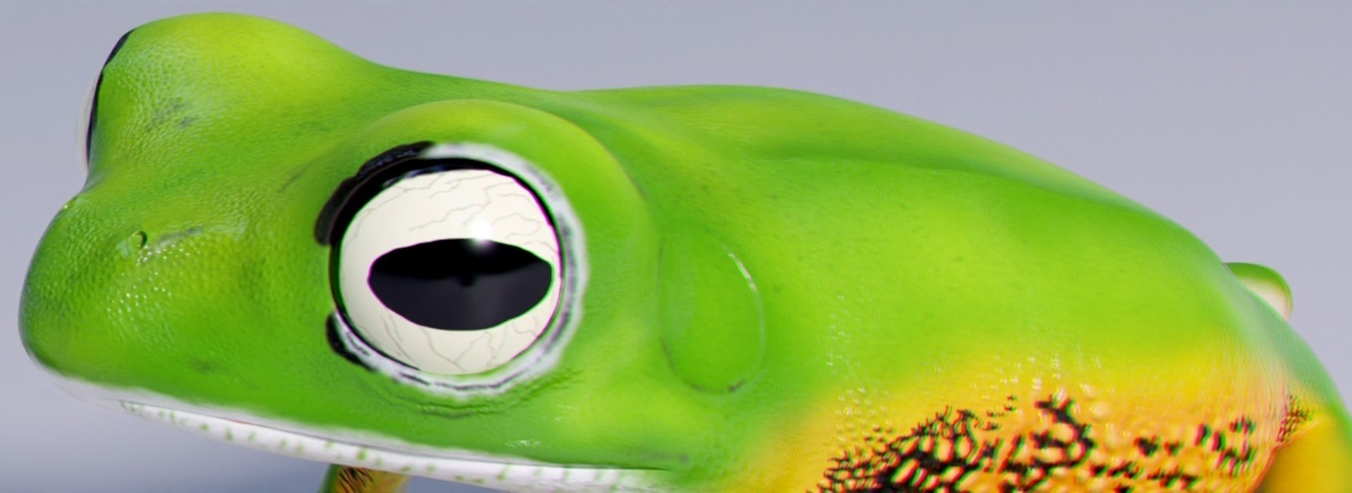 Product banner image