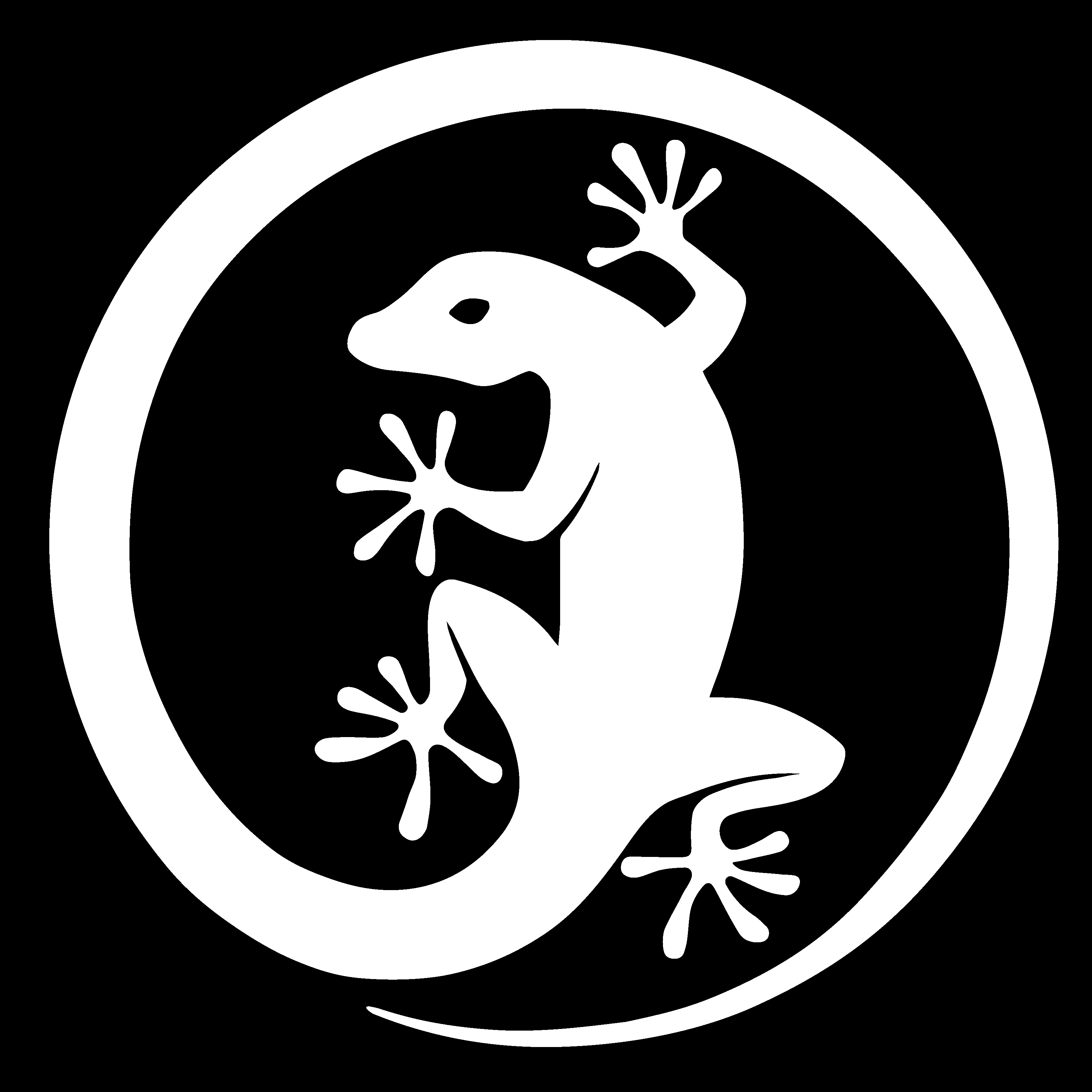 Lizard  3D