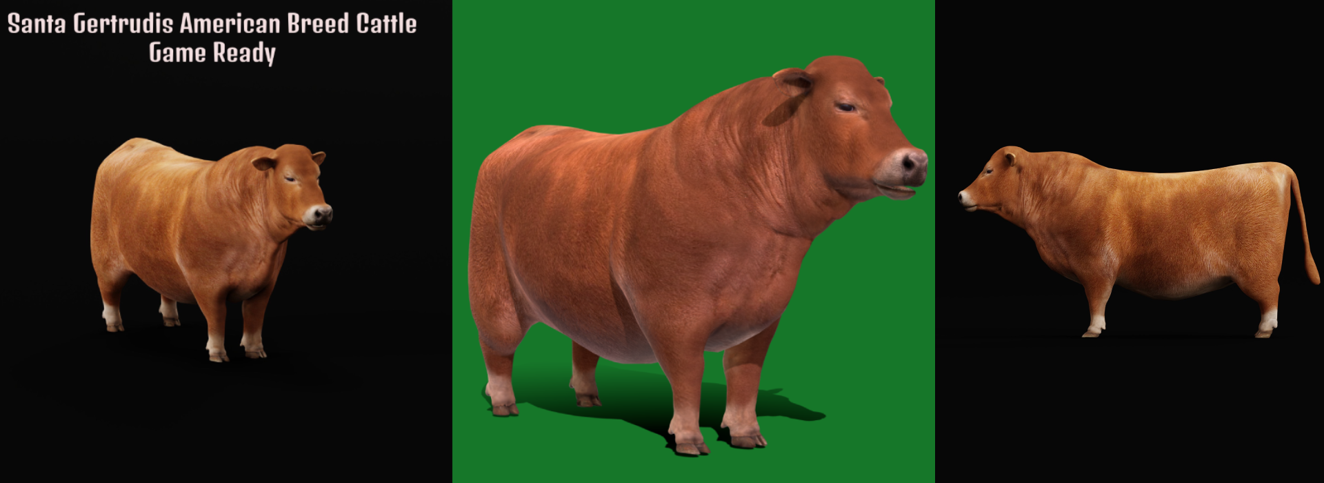 Product banner image