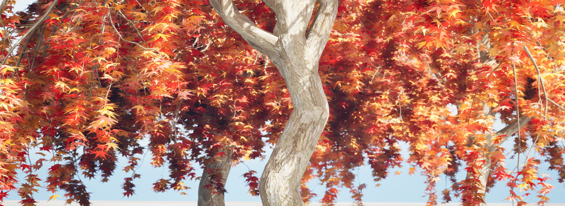 Product banner image