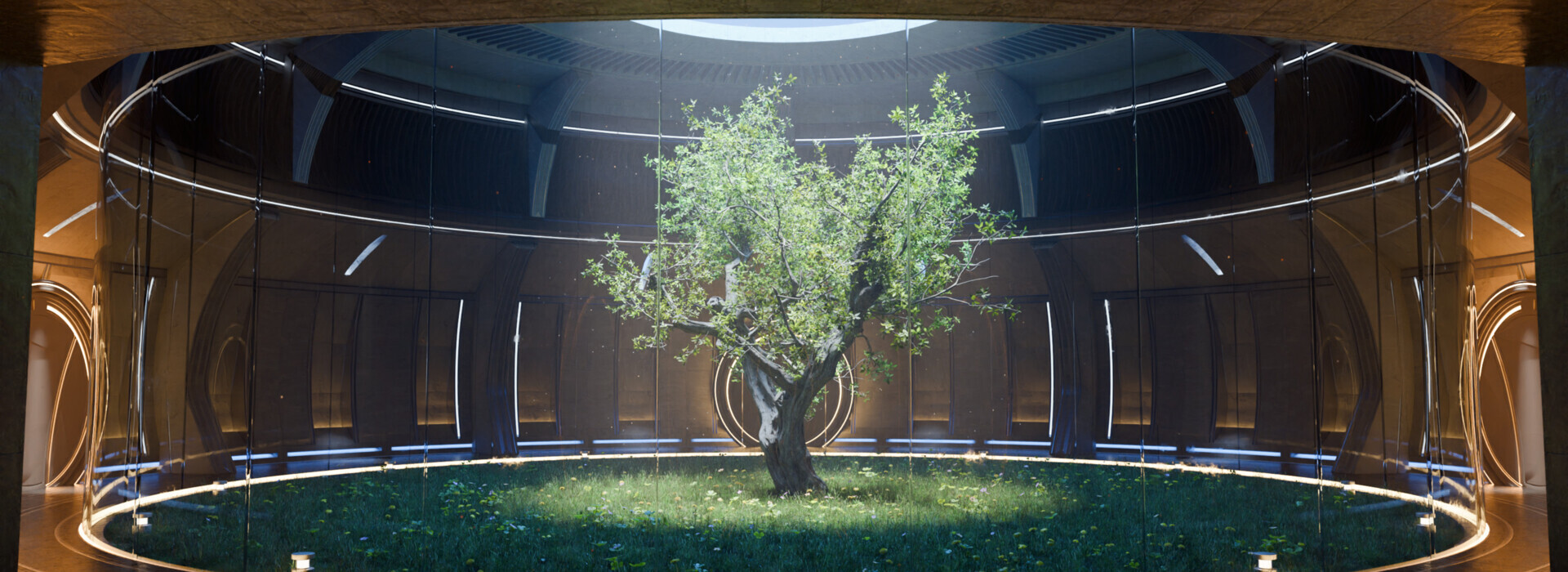 Product banner image