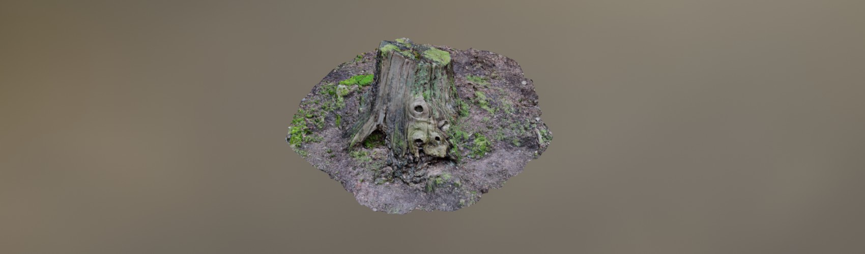 Product banner image