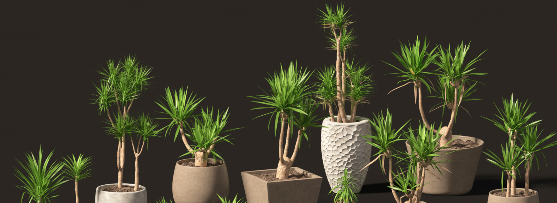 Product banner image