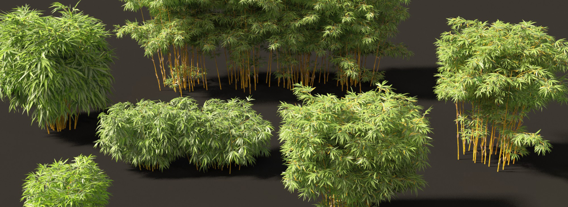 Product banner image