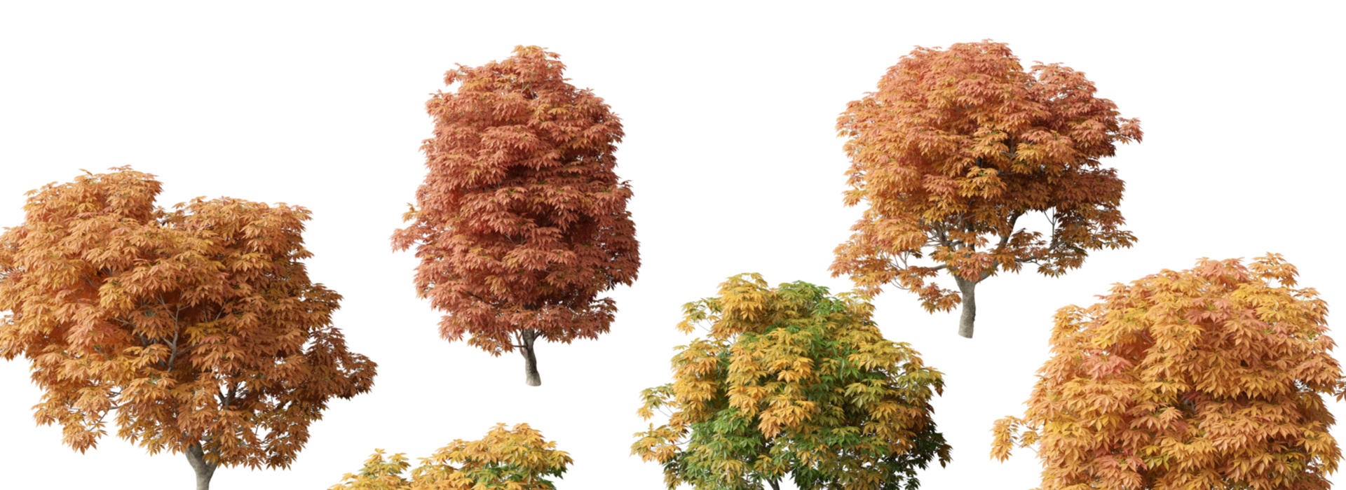 Product banner image