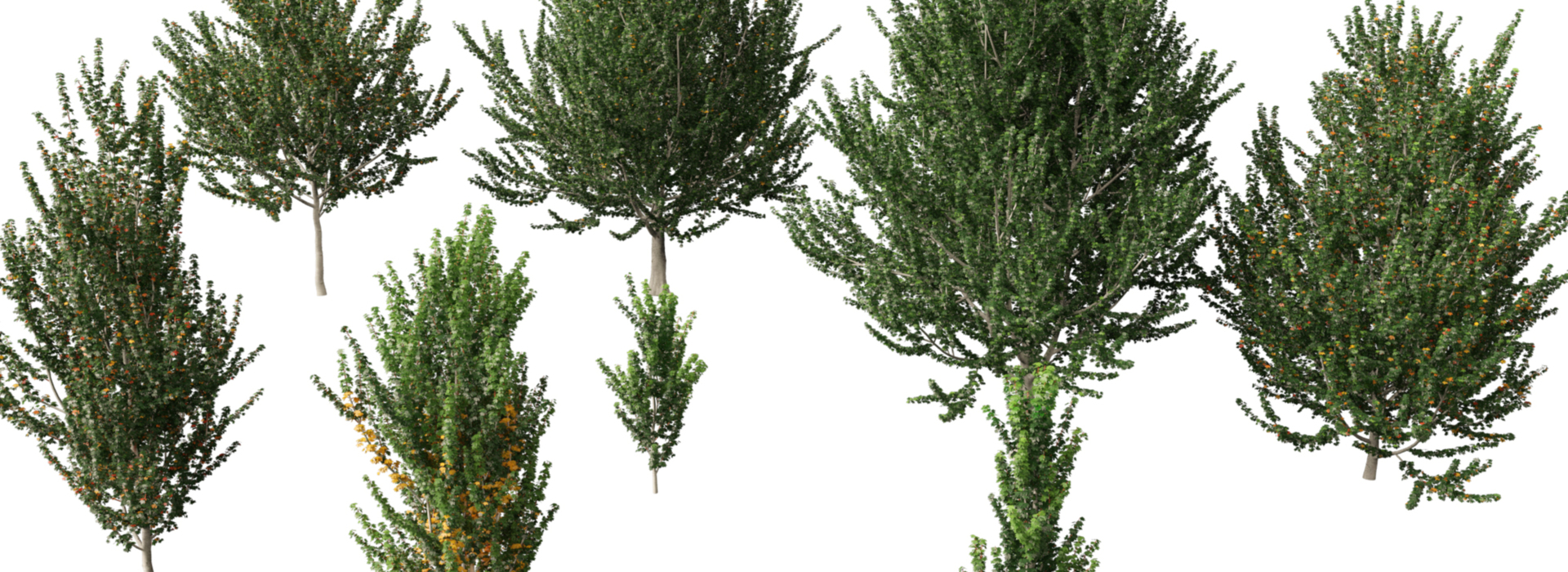 Product banner image