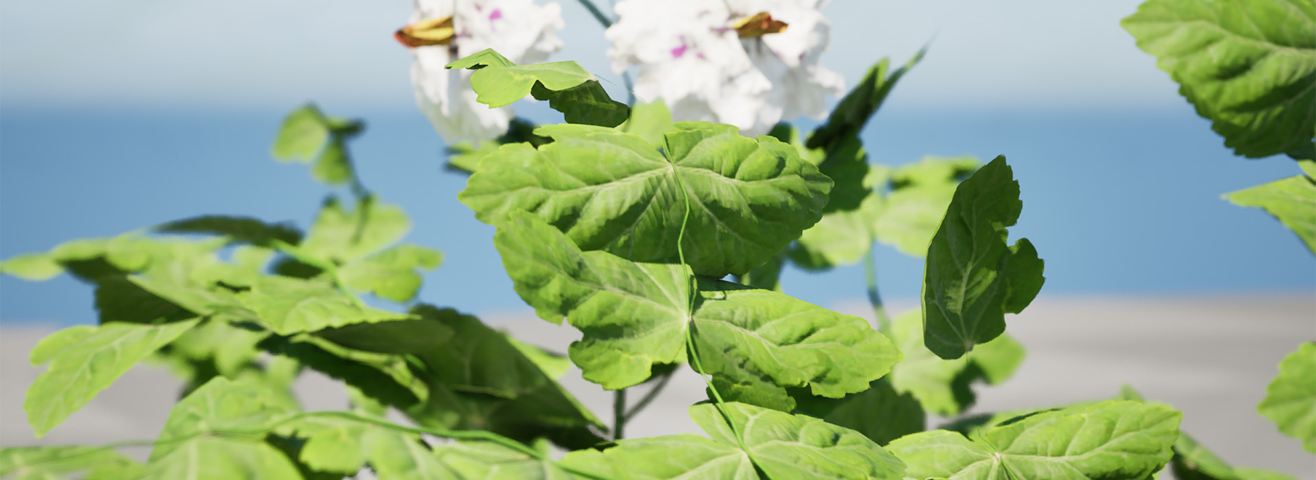 Product banner image