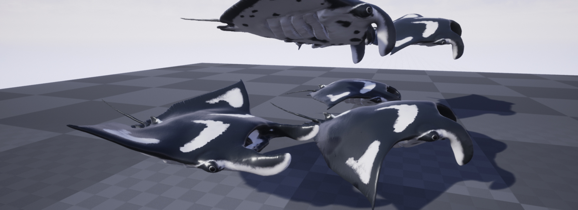 Product banner image