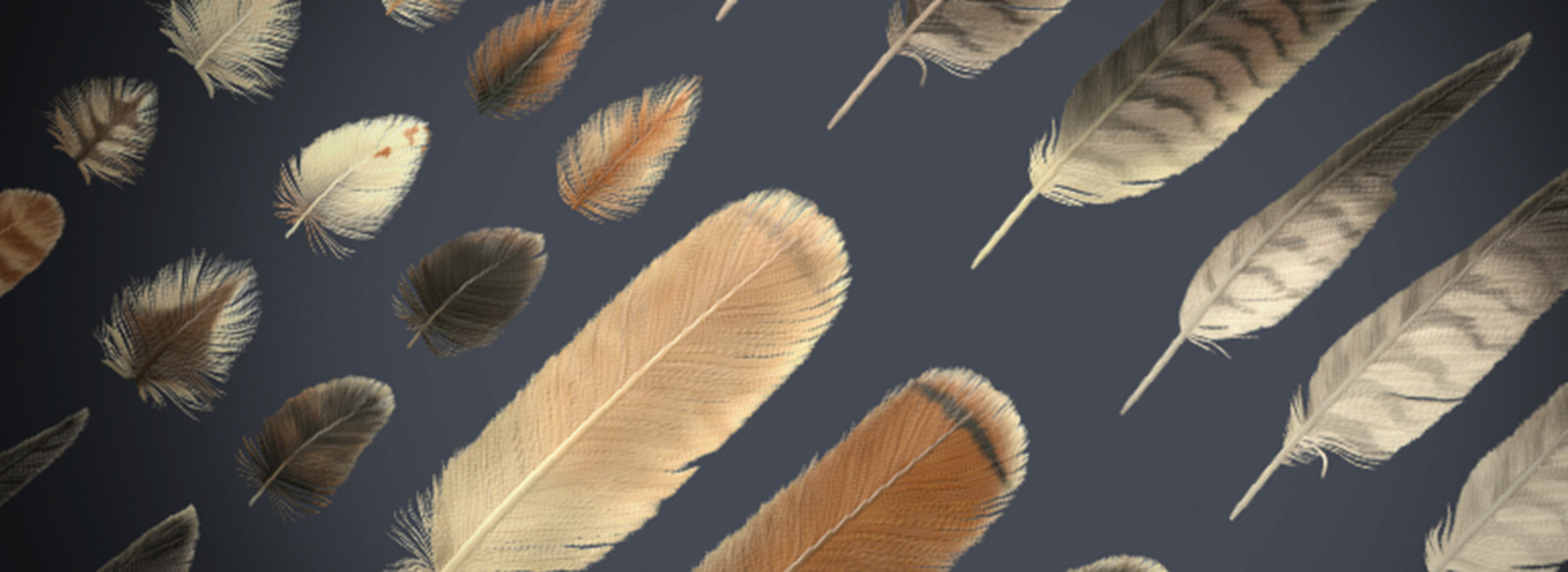 Product banner image