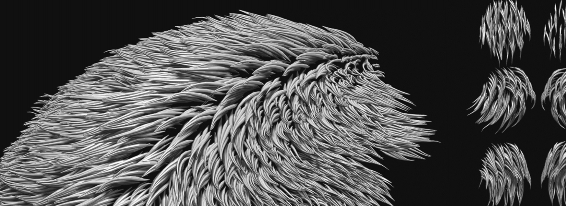 Product banner image