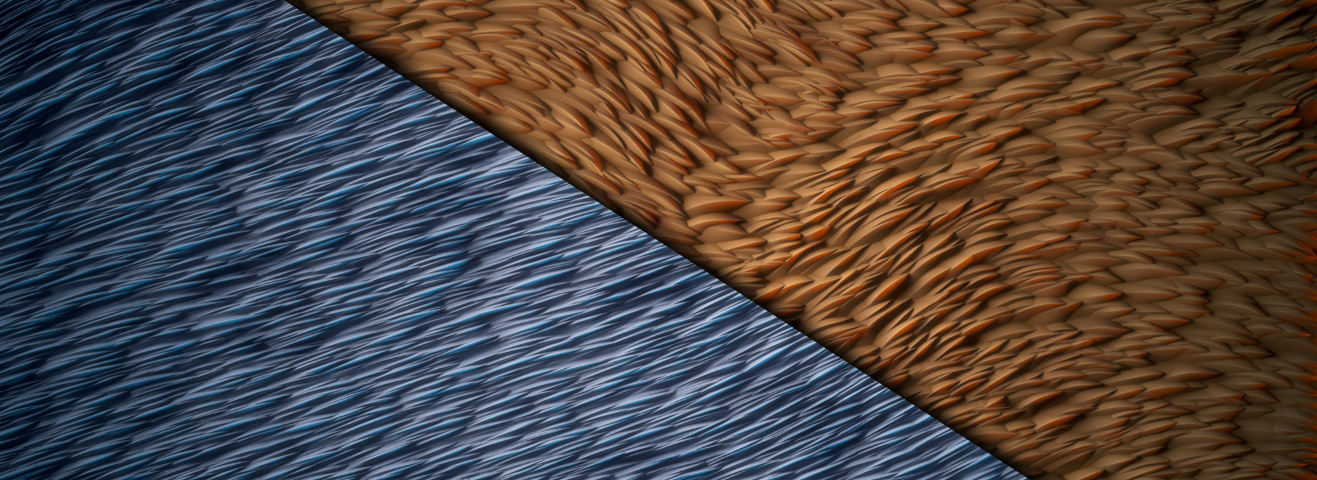 Product banner image