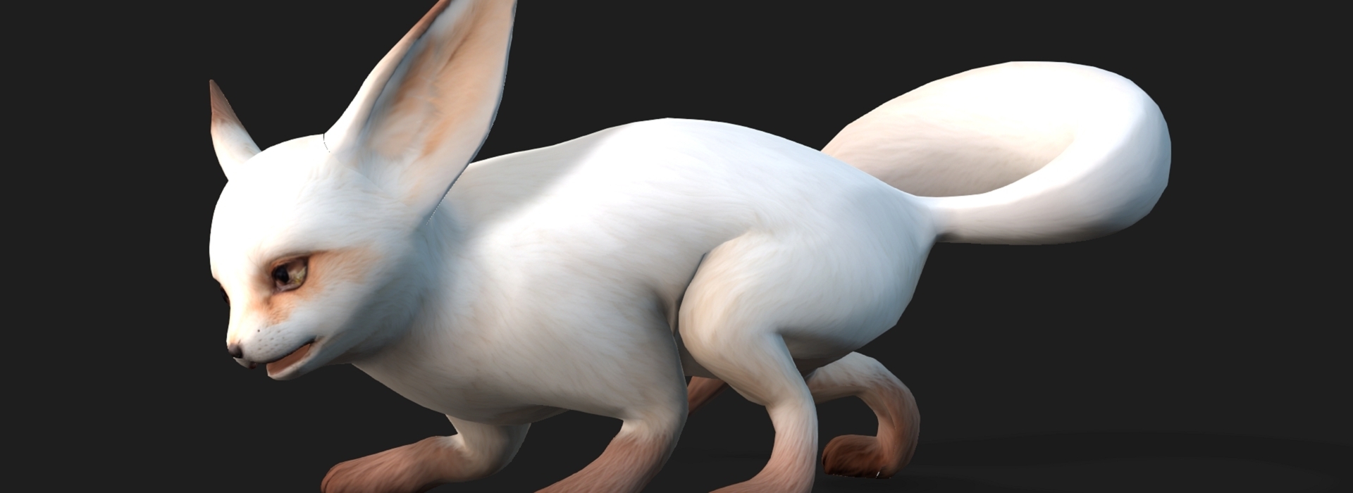 Product banner image