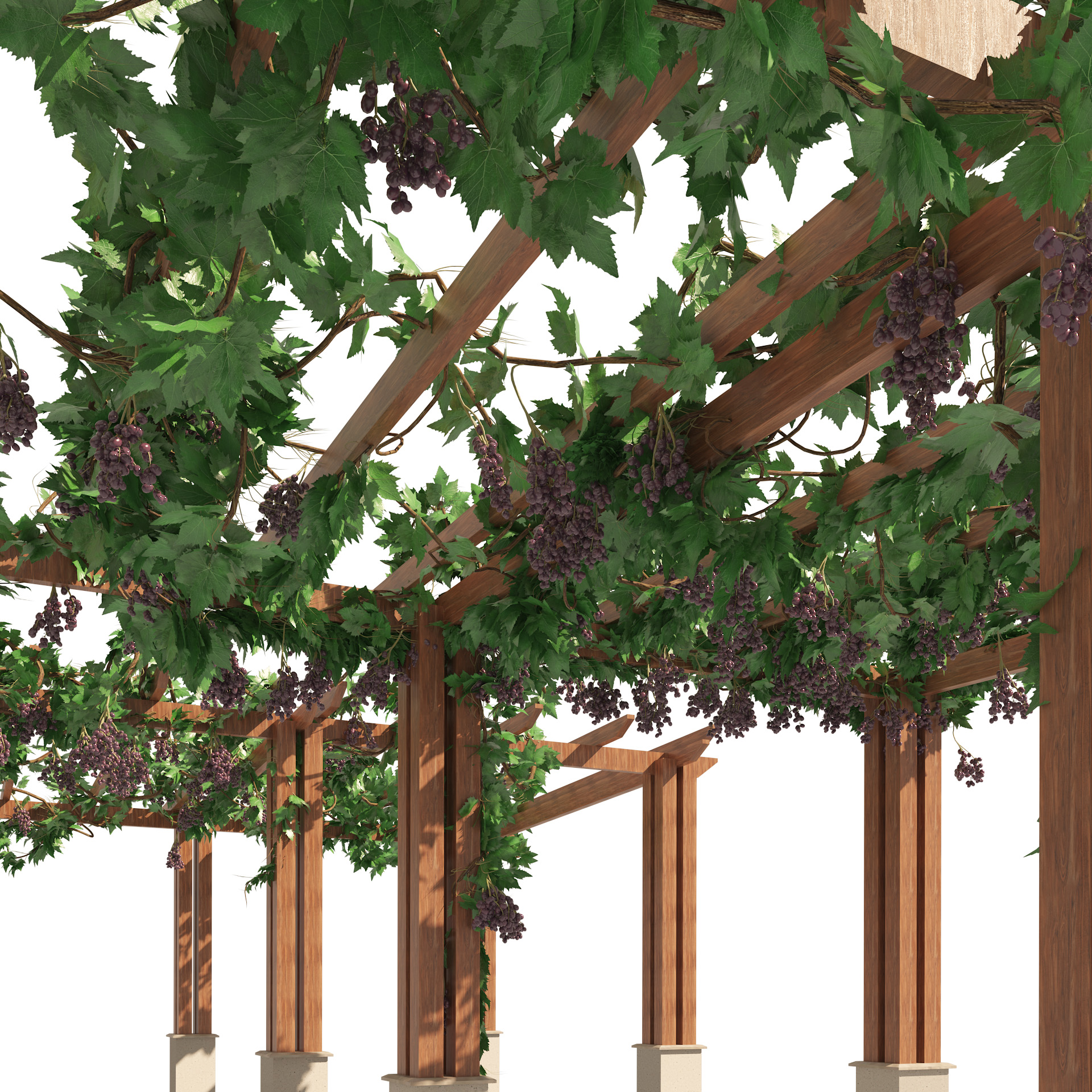 Product banner image