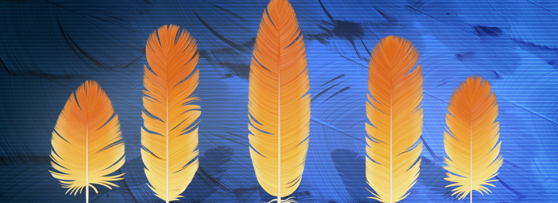Product banner image