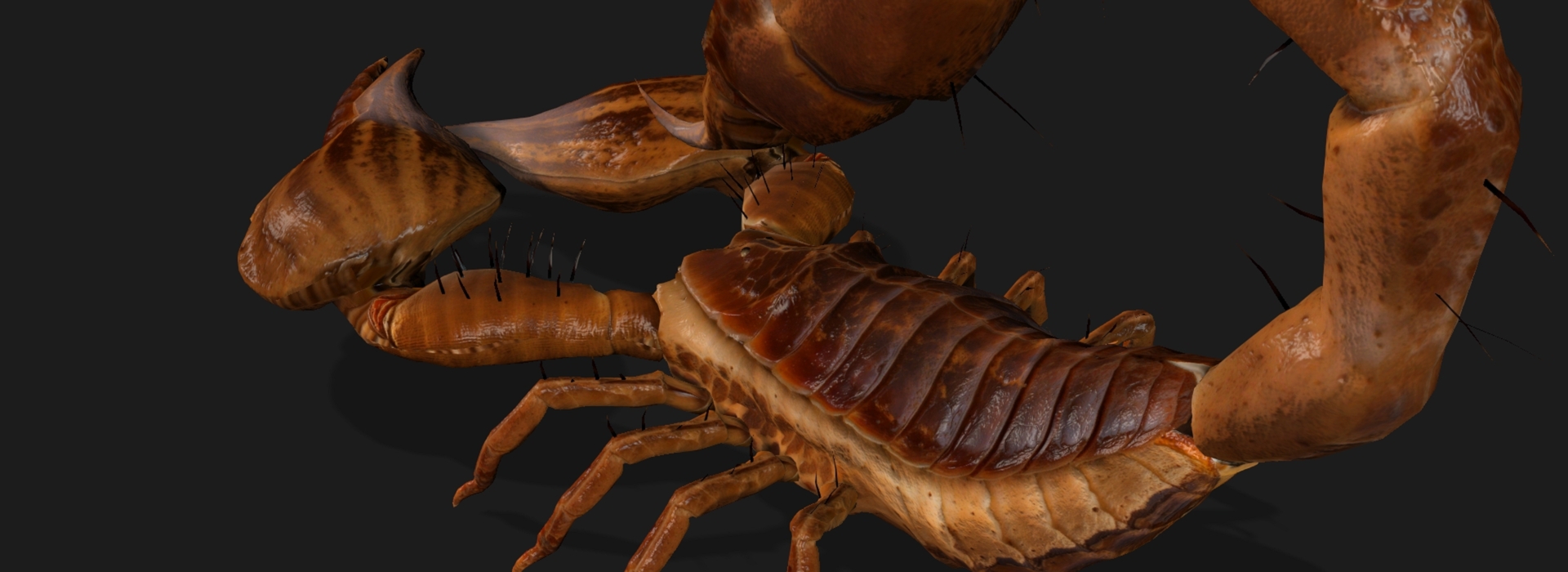 Product banner image