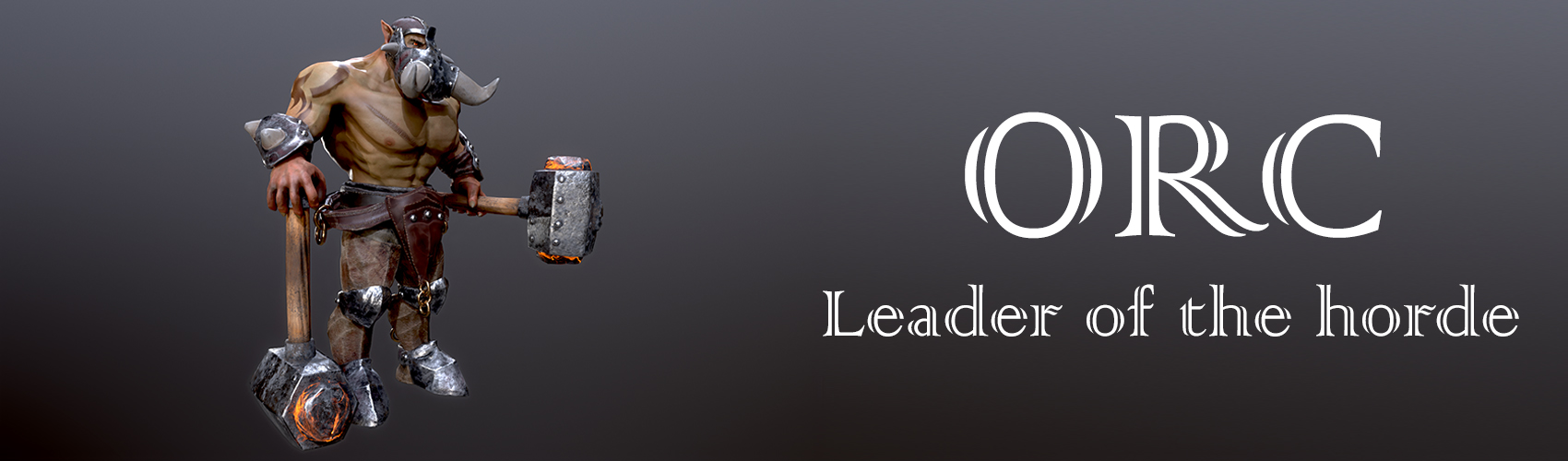 Product banner image