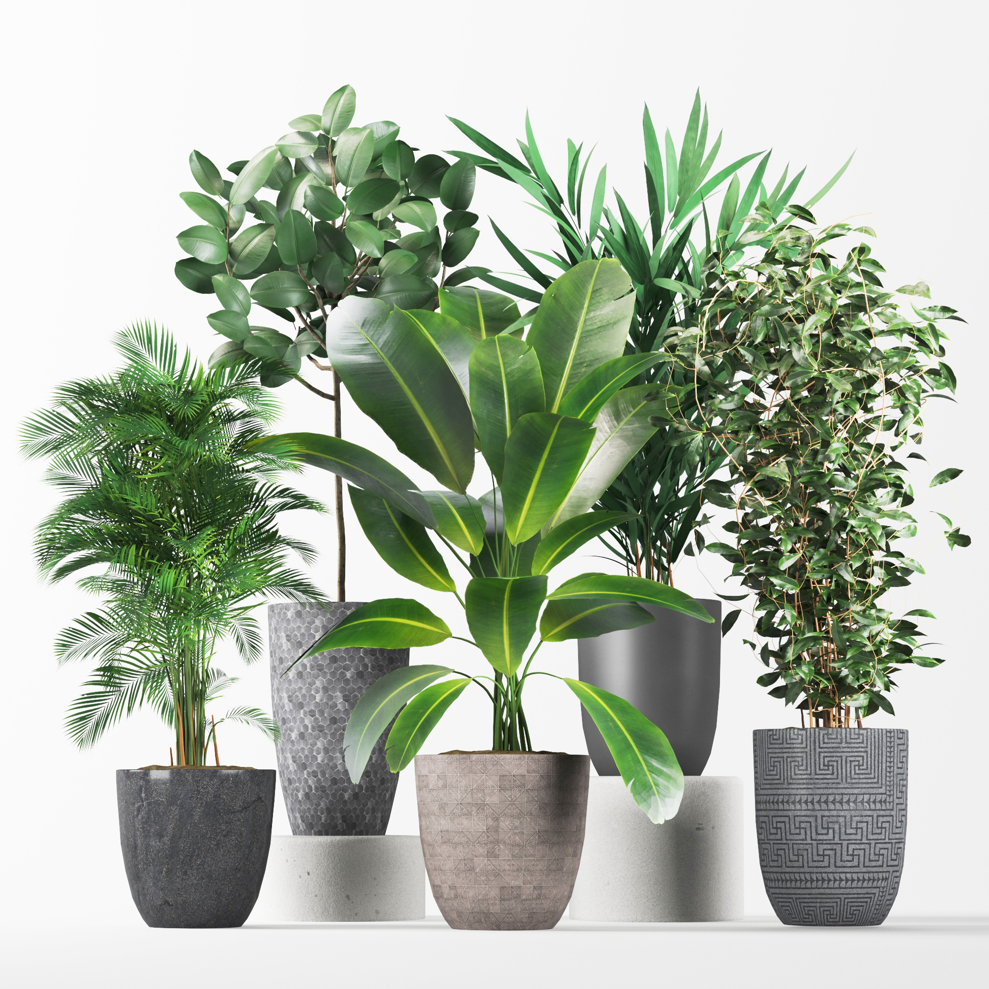 Product banner image