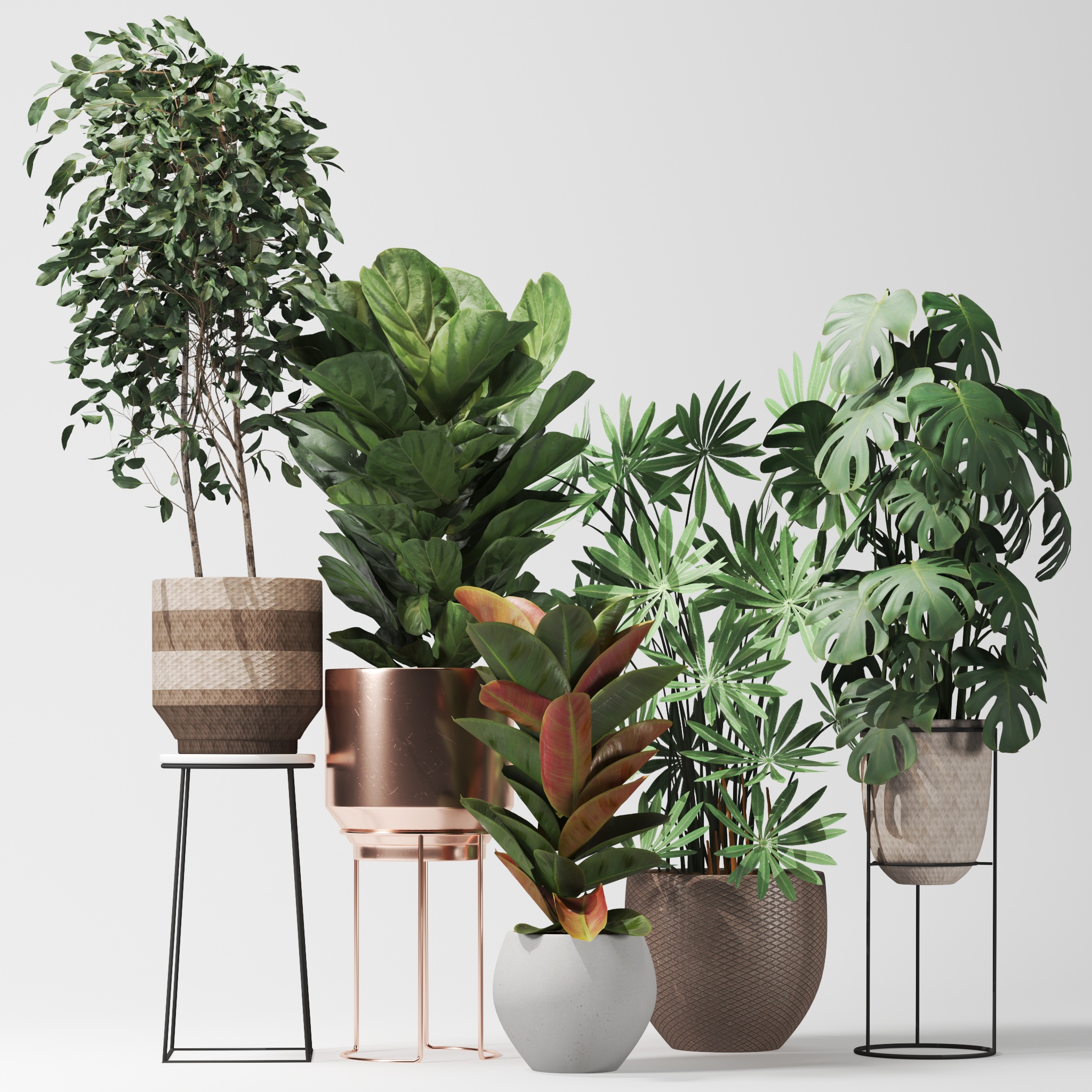 Product banner image
