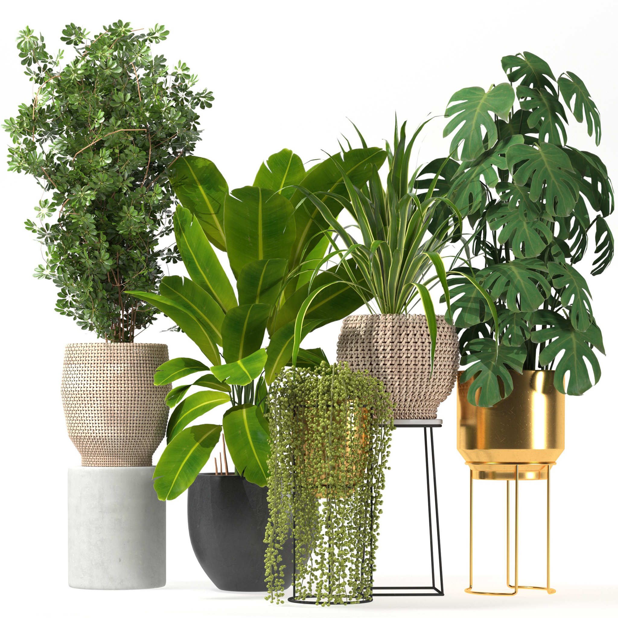 Product banner image