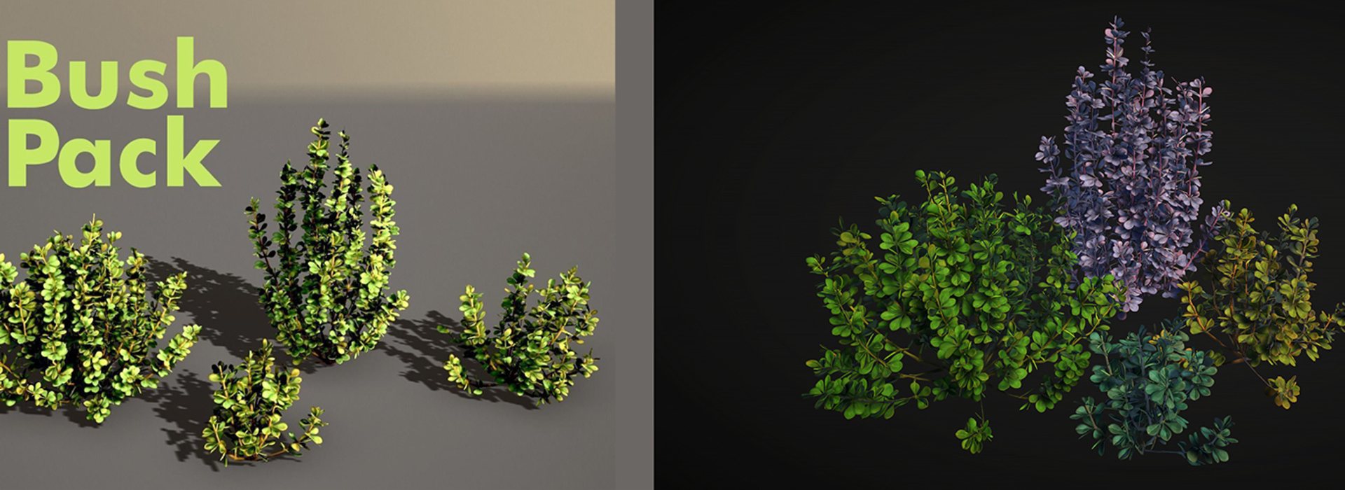 Product banner image