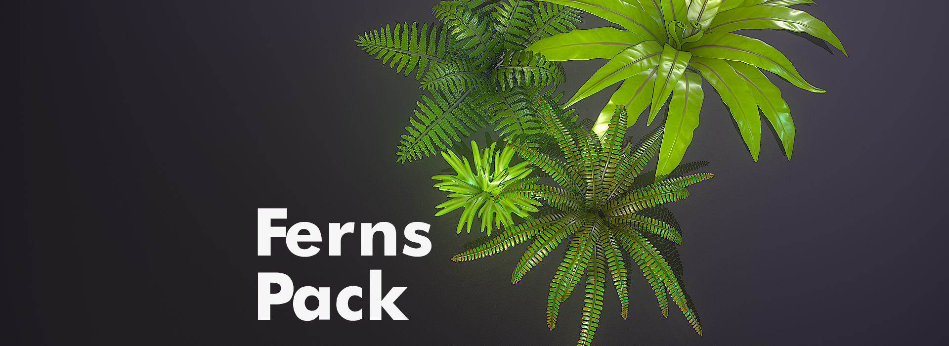 Product banner image