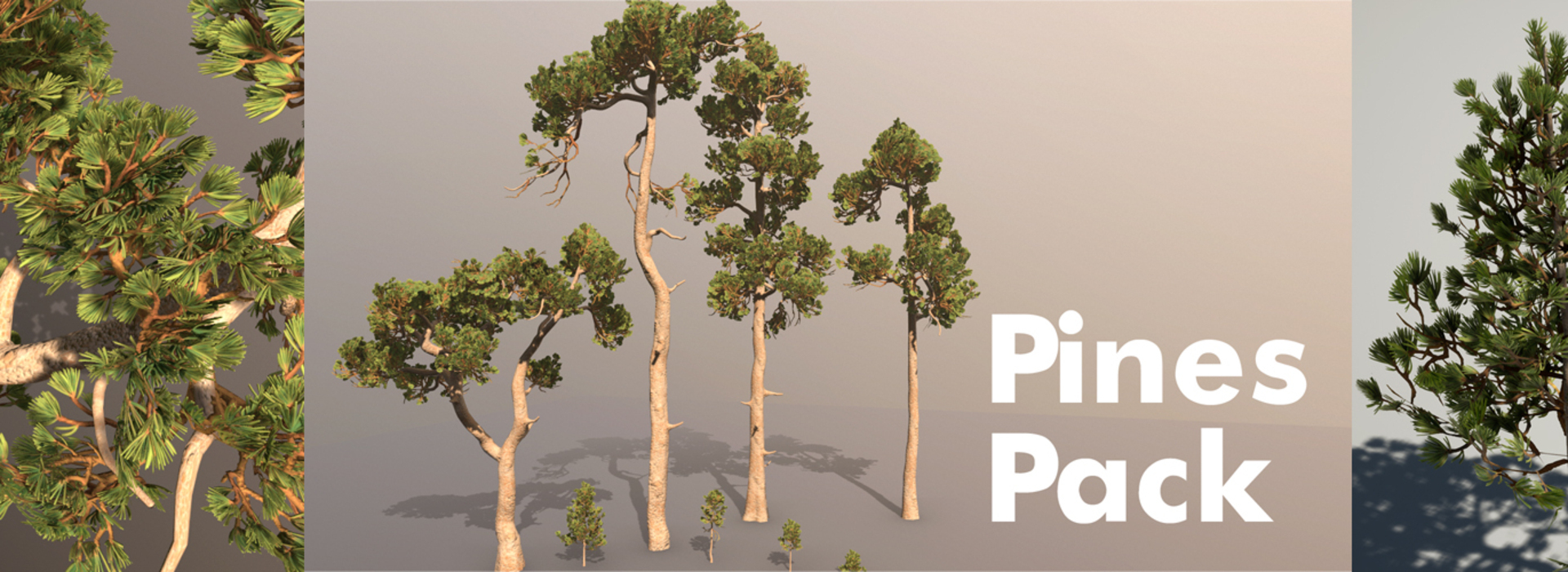 Product banner image